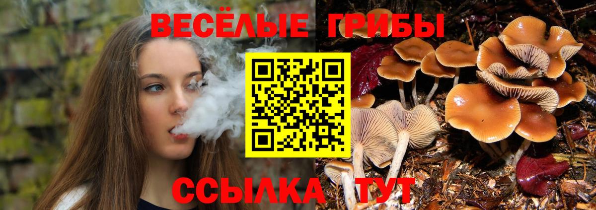 Псилоцибиновые грибы MAGIC MUSHROOMS  Вход с VPN  наркошоп  Топки 